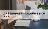 上海宏茂微电子是做什么的,宏茂微电子几号发工资