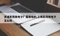 青浦宏茂微电子厂是做啥的,上海宏茂微电子怎么样