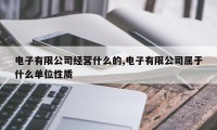 电子有限公司经营什么的,电子有限公司属于什么单位性质