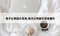 电子公司简介范本,电子公司简介范本图片