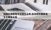 沈阳芯源微电子公司怎么样,在沈阳芯源微电子上班怎么样