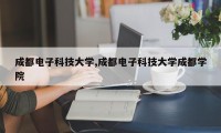 成都电子科技大学,成都电子科技大学成都学院
