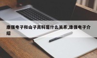 康强电子和山子高科是什么关系,康强电子介绍