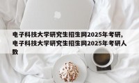 电子科技大学研究生招生网2025年考研,电子科技大学研究生招生网2025年考研人数