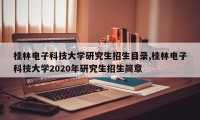 桂林电子科技大学研究生招生目录,桂林电子科技大学2020年研究生招生简章