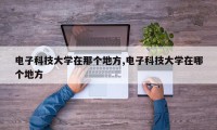 电子科技大学在那个地方,电子科技大学在哪个地方