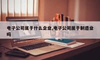 电子公司属于什么企业,电子公司属于制造业吗