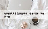 电子科技大学在哪座城市?,电子科技大学在哪个省