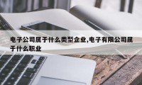 电子公司属于什么类型企业,电子有限公司属于什么职业