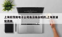 上海宏茂微电子公司有没有白班的,上海青浦宏茂微