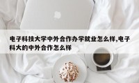 电子科技大学中外合作办学就业怎么样,电子科大的中外合作怎么样