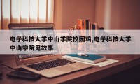 电子科技大学中山学院校园鸡,电子科技大学中山学院鬼故事