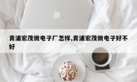 青浦宏茂微电子厂怎样,青浦宏茂微电子好不好