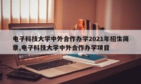 电子科技大学中外合作办学2021年招生简章,电子科技大学中外合作办学项目