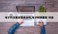 电子科技集团是央企吗,电子科技集团 待遇