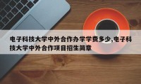 电子科技大学中外合作办学学费多少,电子科技大学中外合作项目招生简章