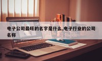 电子公司最旺的名字是什么,电子行业的公司名称