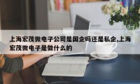 上海宏茂微电子公司是国企吗还是私企,上海宏茂微电子是做什么的