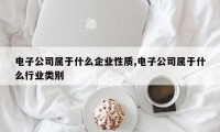 电子公司属于什么企业性质,电子公司属于什么行业类别
