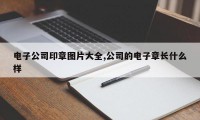 电子公司印章图片大全,公司的电子章长什么样
