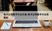 电子公司属于什么行业,电子公司属于什么性质的