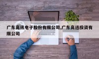广东高讯电子股份有限公司,广东高迅投资有限公司