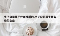电子公司属于什么性质的,电子公司属于什么类型企业