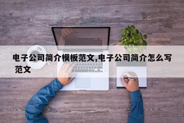 电子公司简介模板范文,电子公司简介怎么写 范文