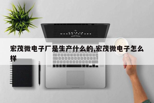 宏茂微电子厂是生产什么的,宏茂微电子怎么样