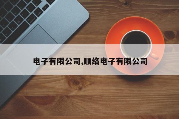 电子有限公司,顺络电子有限公司