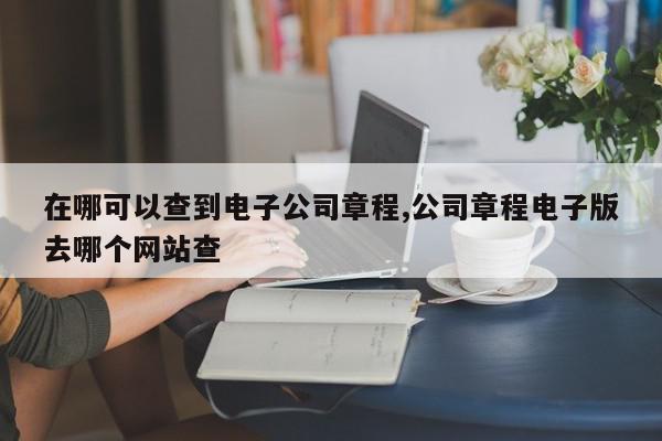 在哪可以查到电子公司章程,公司章程电子版去哪个网站查
