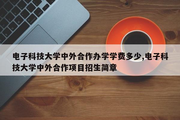 电子科技大学中外合作办学学费多少,电子科技大学中外合作项目招生简章