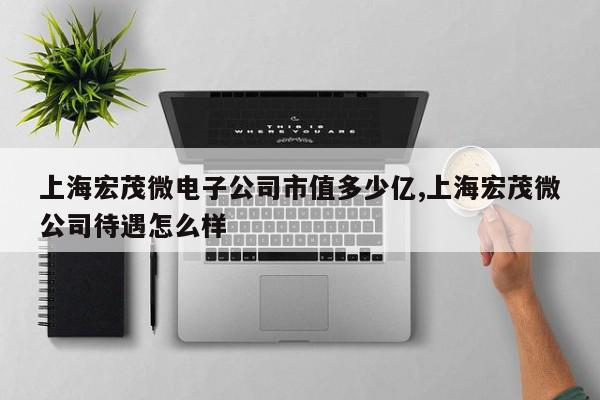 上海宏茂微电子公司市值多少亿,上海宏茂微公司待遇怎么样