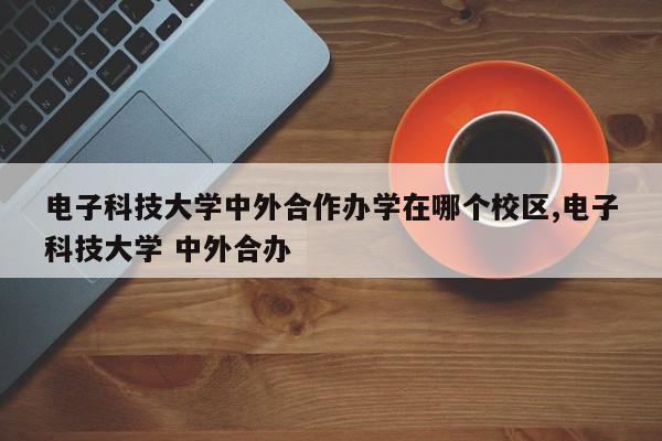 电子科技大学中外合作办学在哪个校区,电子科技大学 中外合办